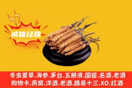 漯河市舞阳回收冬虫夏草
